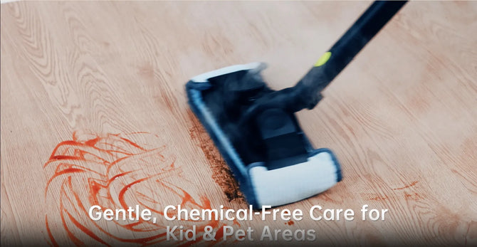 Steam Cleaner Visual Action